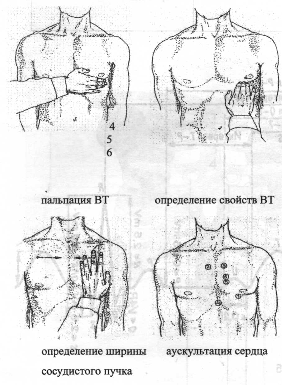 Методическое пособие для практических занятий по пропедевтике клинических дисциплин