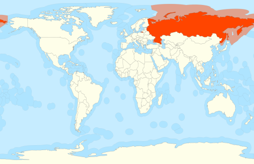 Географическое положение России (глава из пробного учебника)