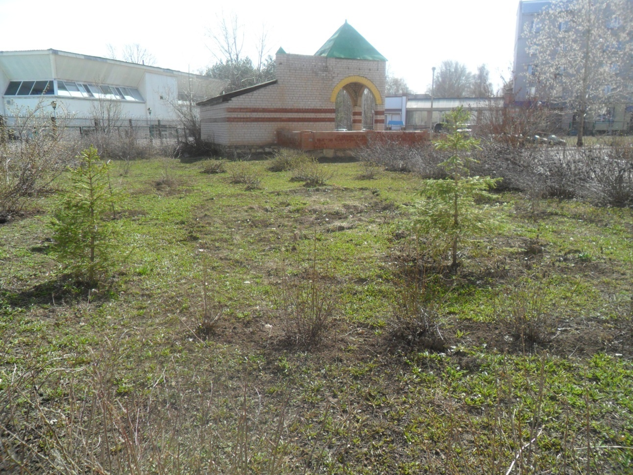 Экскурсия в весеннее время года по экологической тропе