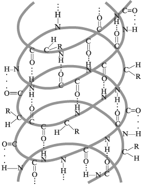 Авторская модель учебного занятия Нуклеиновые кислоты 9 класс
