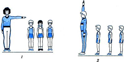План -конспект урока по физической культуре на тему: Лазанье по гимнастической стенке с одновременным перехватом рук и перестановкой ног. (2 класс)