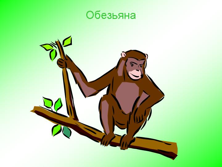 Урок литературного чтения Про обезьянку