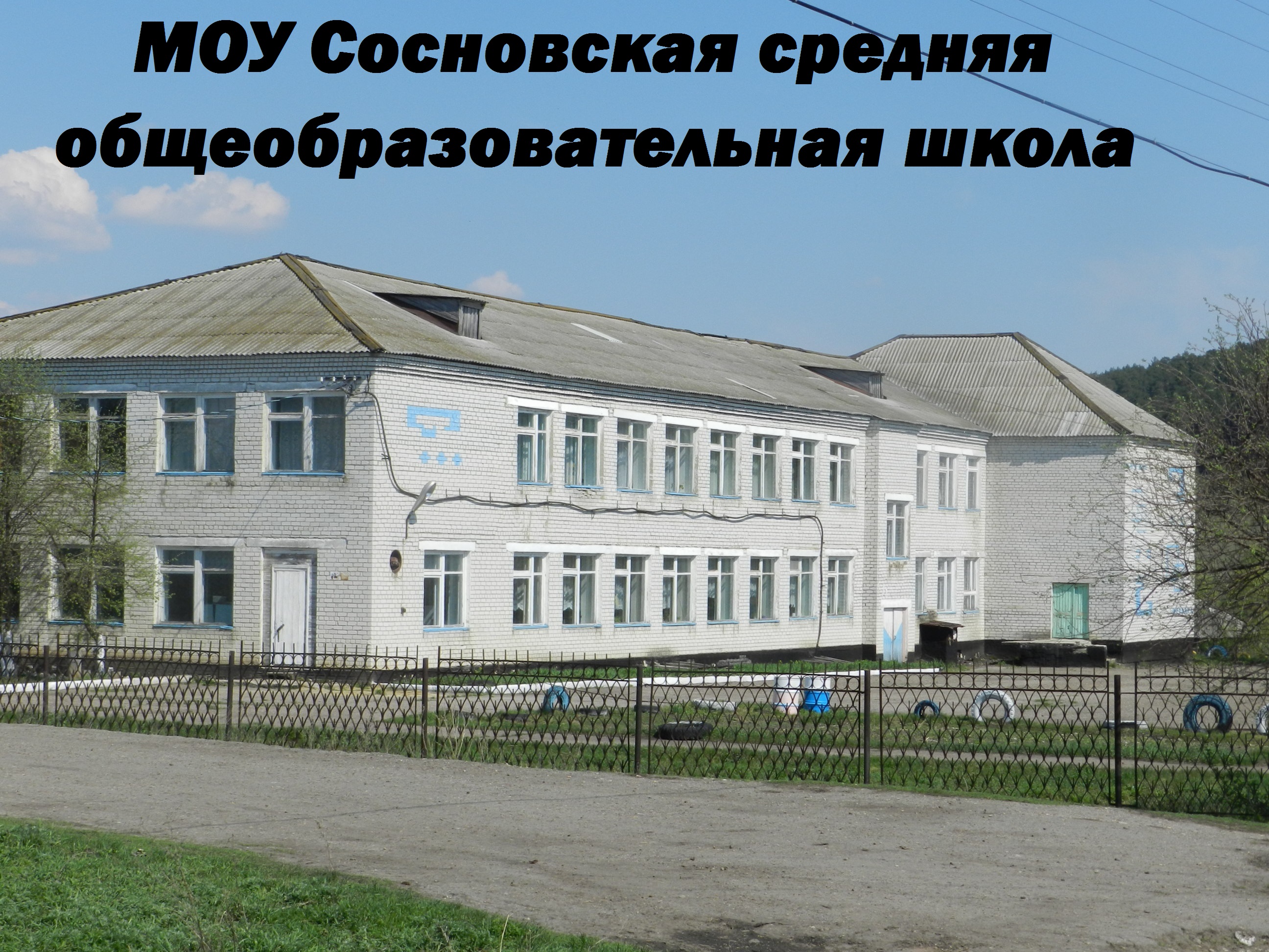 Моу сосновская сош