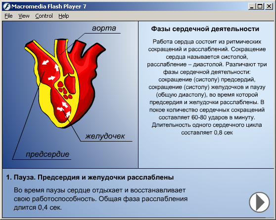 Урок биологии в 8 классе Строение и работа сердца. Круги кровообращения