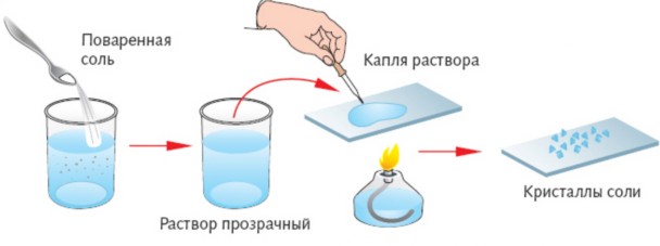 Дидактический материал для уроков природоведения (на украинском языке) для 5 класса