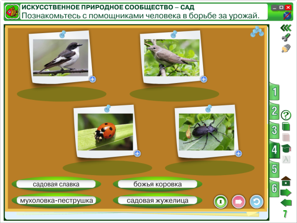 Конспект урока по окружающему миру Сад - искусственное сообщество 4 класс УМК Планета знаний