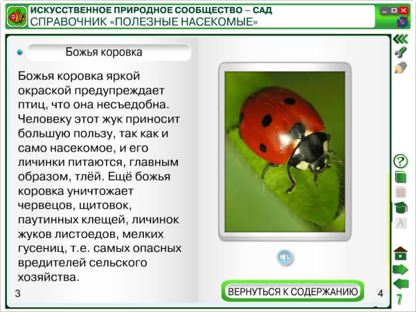 Конспект урока по окружающему миру 4 класс. Рассказ о сообществе сад. Сообщение об обитателях сада. Природное сообщество сад.