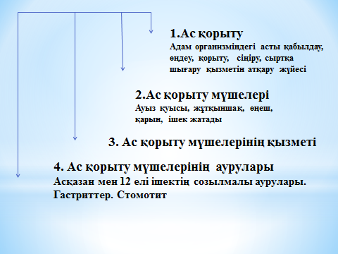 Ас қорыту мүшелері және олардың қызметі