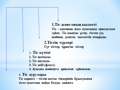 Ас қорыту мүшелері және олардың қызметі