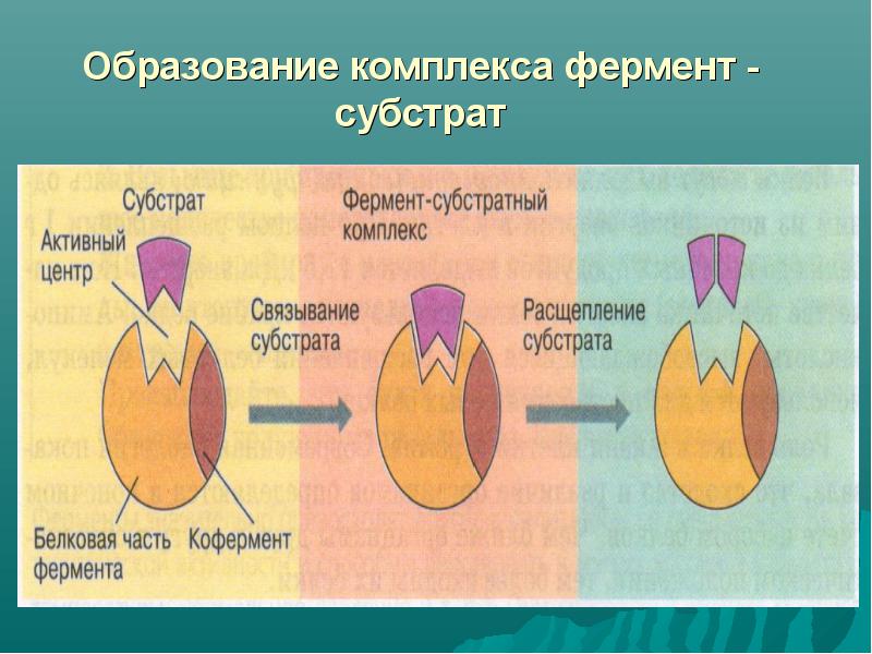 Курс лекций и заданий по дисциплине Химия