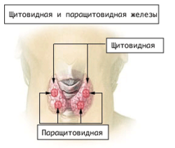 Курс лекций и заданий по дисциплине Химия