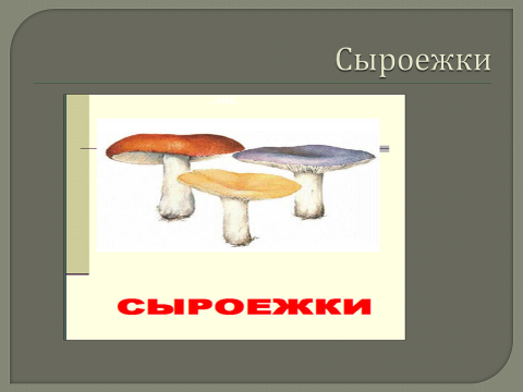 Конспект НОД в средней группеСъедобные грибы