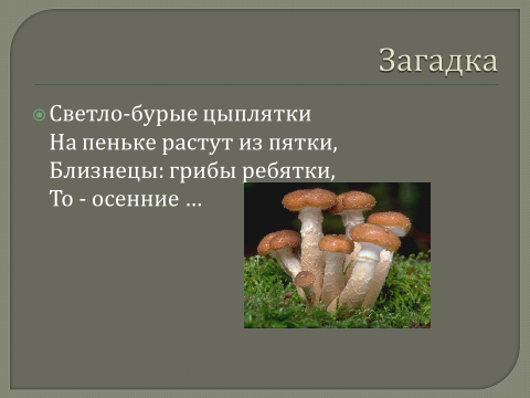 Конспект НОД в средней группеСъедобные грибы