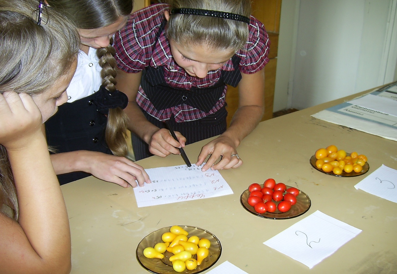 Исследовательская работа по выращиванию томатов черри