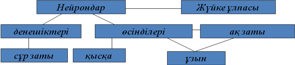 План урока на тему Нервная система