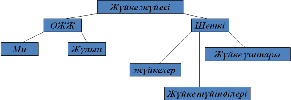 План урока на тему Нервная система