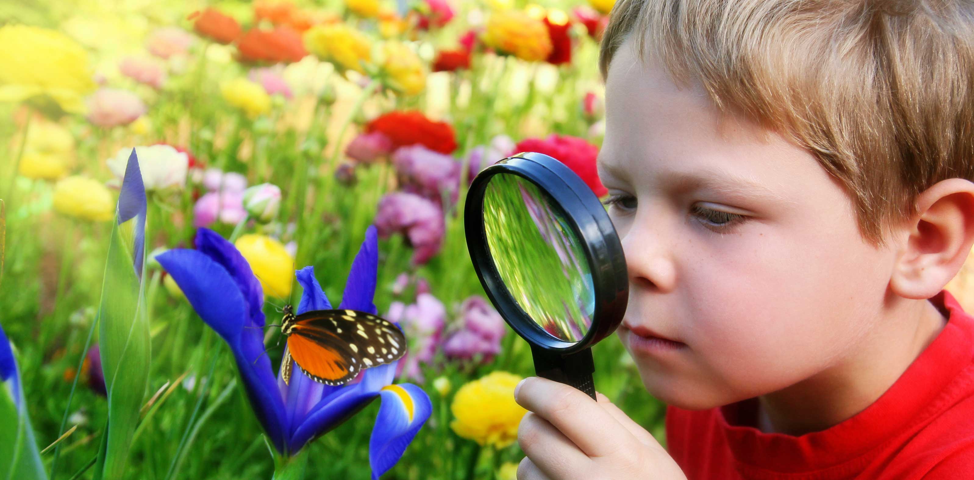 Наблюдение - основной метод ознакомления детей с природой.