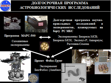 Исследовательская работа учащихся Изучение особенностей развития личинок африканского комара в условиях космического пространства