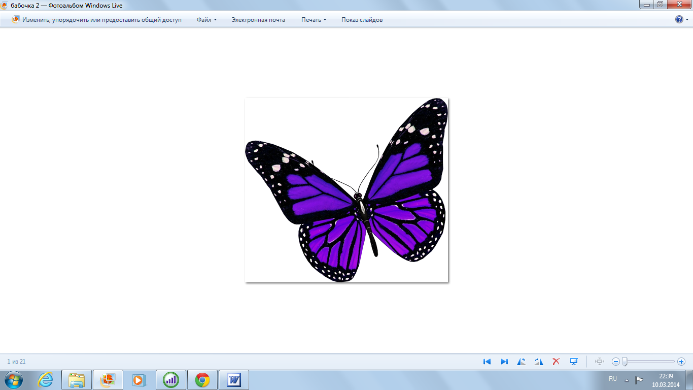 Скопировать см. Бабочка нарисованная в паинте. Прозрачный фон в паинте. Рисунки в пейнте красивые. Рисунок бабочки в паинте.