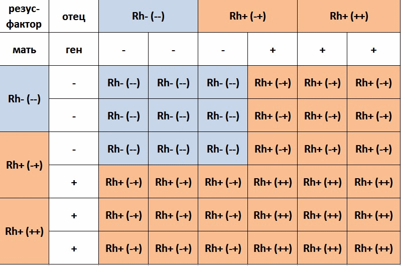 Опорный конспект по теме: Группы крови.