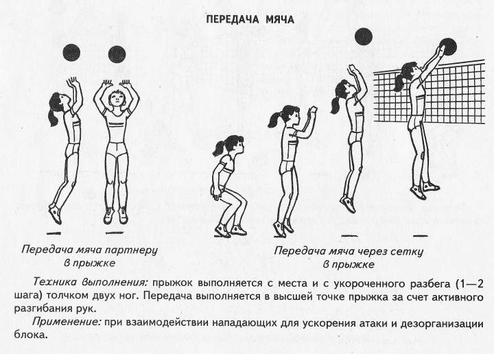 Наглядные пособия для волейбола