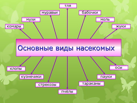 Урок по познанию мира «Насекомые и рыбы» (3 класс)