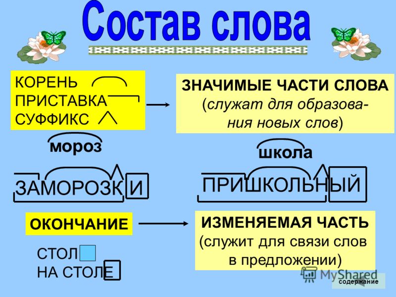 Краткосрочный план по русскому языку для 5класса