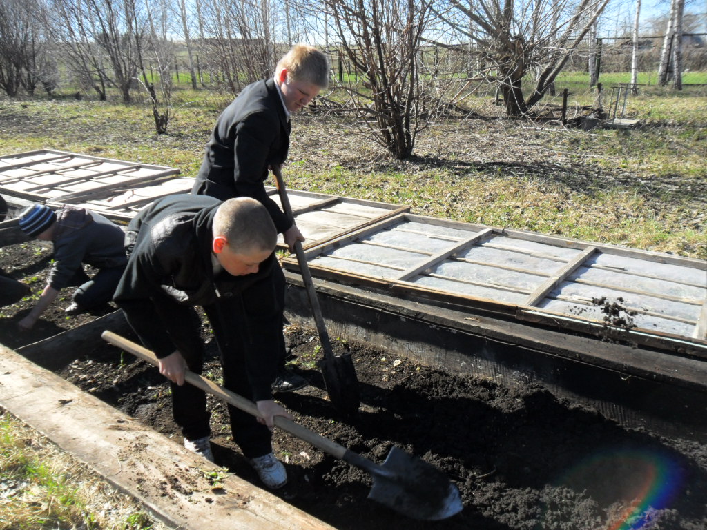 Улучшение экологического состояния села