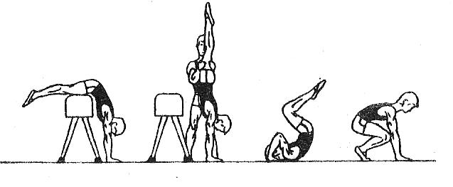 Открытый урок физической культуры в 11»А» классе по теме Гимнастика с элементами акробатики