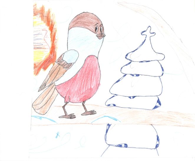 Проект «Покормите птиц зимой, проектная деятельность»