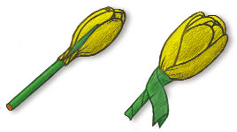 Мастер-класс. Изготовление первоцвета (цветка крокуса) из гофрированной бумаги, посвященный экологической акции «Первоцветы».
