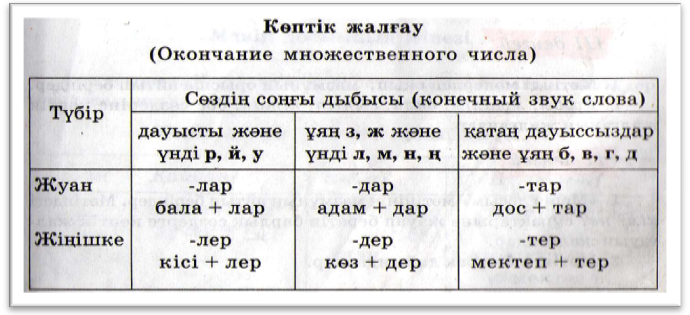 Множественное число в казахском языке. Множественные окончание в казахском языке. Окончания множественного числа в казахском языке. Окончания в казахском языке таблица.