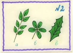 Обобщающий урок-игра в 6 классе «Конкурс знатоков биологии» по теме: « Растения»