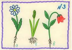 Обобщающий урок-игра в 6 классе «Конкурс знатоков биологии» по теме: « Растения»