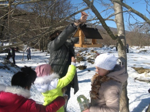 Проектно - исследовательская работа Покормите птиц зимой