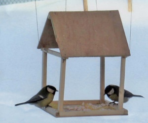 Проектно - исследовательская работа Покормите птиц зимой