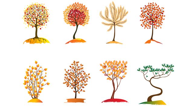 Методическая разработка занятия на тему: Рисуем осеннее дерево. Нетрадиционное рисование для детей 4-5 лет