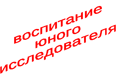 Вариативная образовательная программа по познавательно-речевому развитию дошкольников Юный исследователь