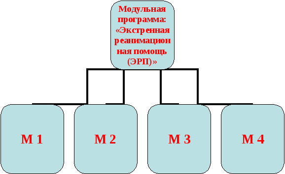 Методический материал разработки уроков по ОБЖ в 9 , 11 классах : Модульная программа по теме : Экстренная реанимационная помощь