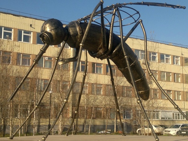 Внеклассное мероприятие С большим уважением к братьям нашим меньшим