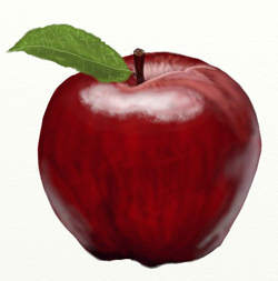 Изобразительное искусство 1 класс Тема: Рисуем яблоко