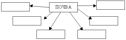 Конспект урока цветоводства и декоративного садоводства в 6 классе по теме Почва и её свойства