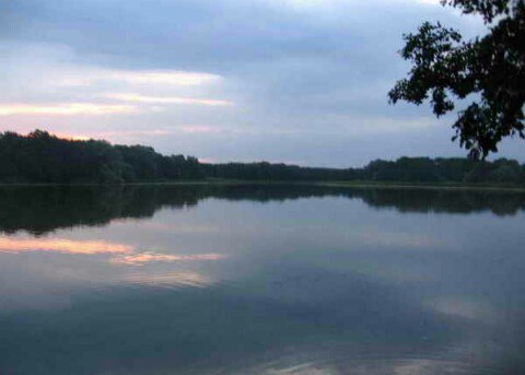Проектно-исследовательская работа озера Песьяново в Курганской области Макушинского района