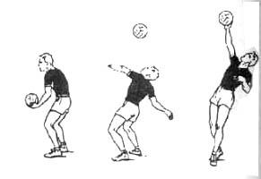 ПОСОБИЕ В КАРТИНКАХ с описанием техники для начального обучения в волейболе
