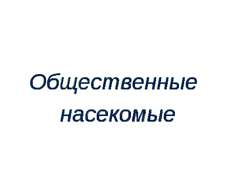 Урок окружающего мира 1 класс УМК «Гармония»