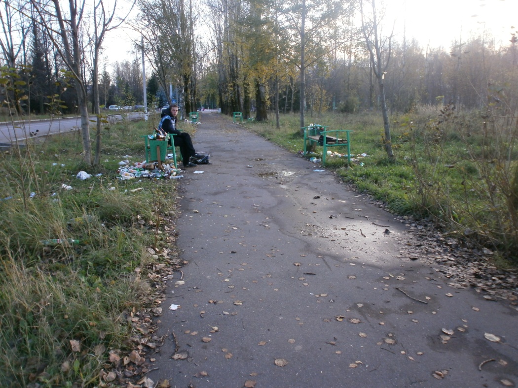 Экологическое состояние военного городка Ильинское