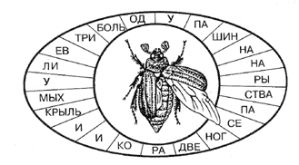 Дистанционная олимпиада по насекомым