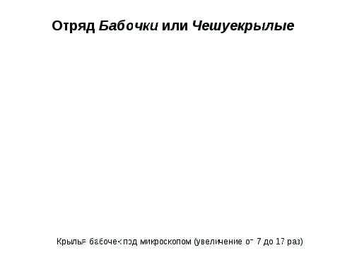 Технологическая карта урока по теме Отряды насекомых: Бабочки, Равнокрылые, Двукрылые, Блохи