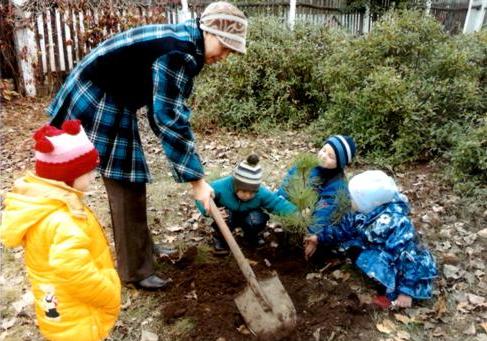 Буклет Советы родителям