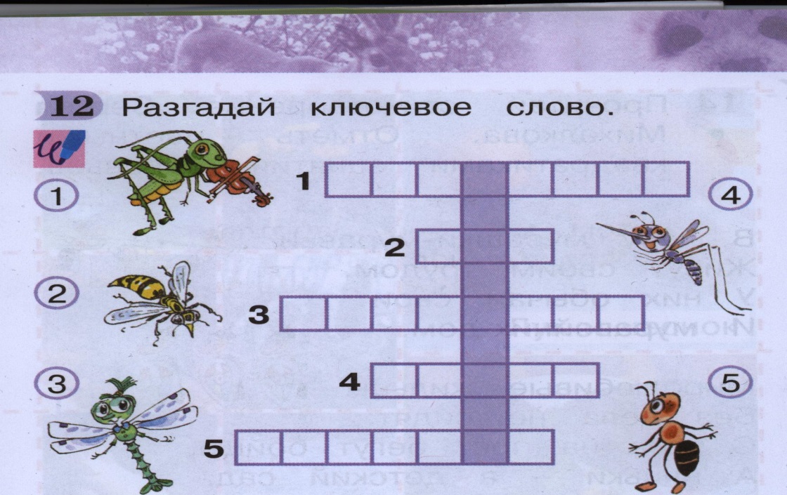 Группа 8 кроссворд. Интересные задания по окружающему миру. Насекомые задания для дошкольников. Кроссворд на тему насекомые. Интересные задания по окружающему миру 2 класс.